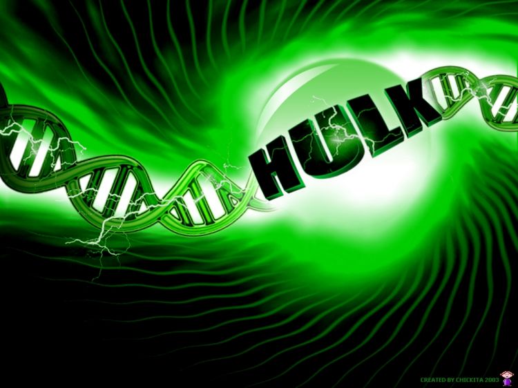 Fonds d'cran Cinma Hulk Wallpaper N29871