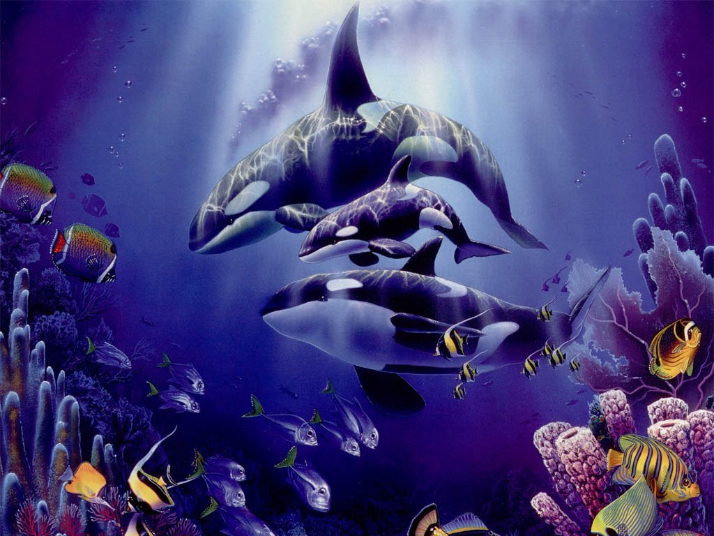 Wallpapers Animals Sealife - Orcas 