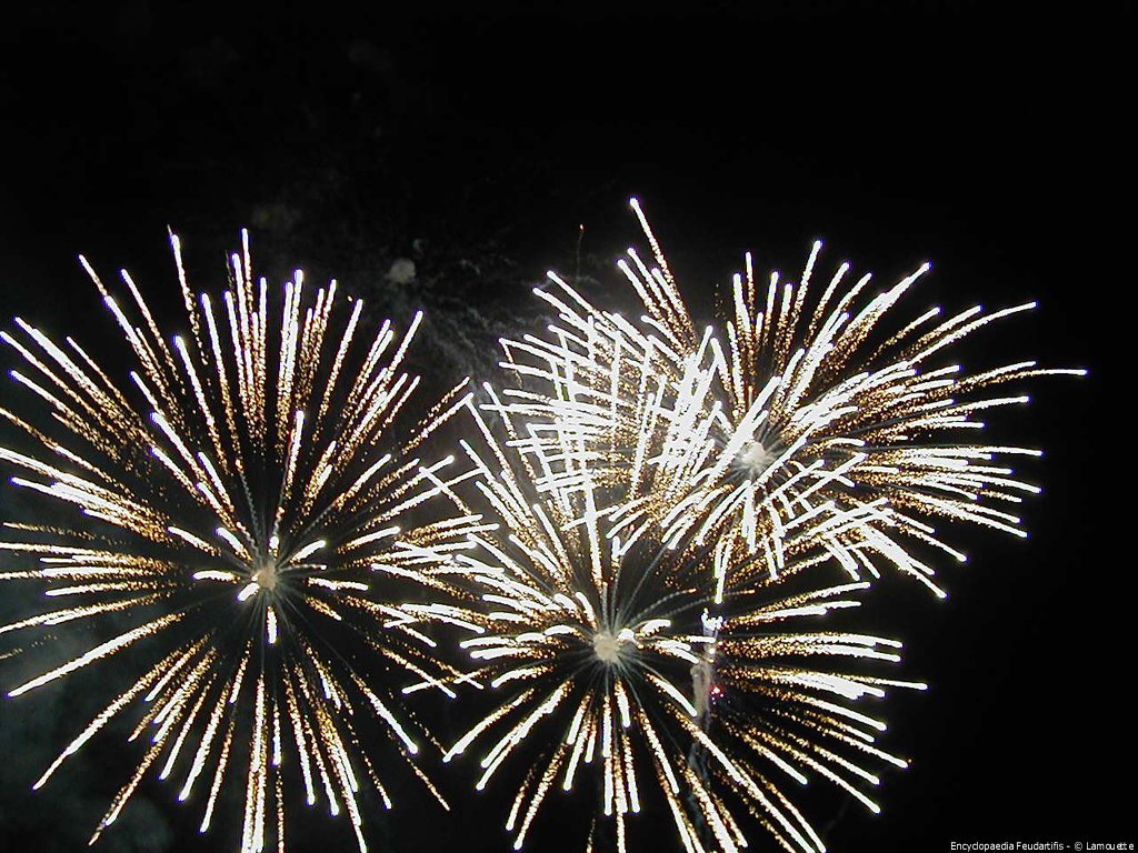 Fonds d'cran Hommes - Evnements Feux d'Artifice 