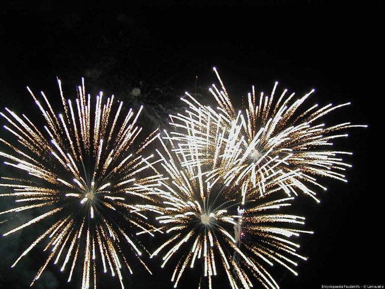 Fonds d'cran Hommes - Evnements Feux d'Artifice Wallpaper N40189