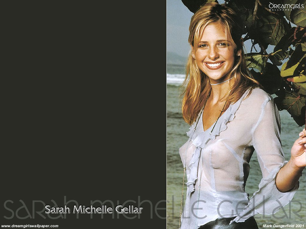 Fonds d'cran Clbrits Femme Sarah Michelle Gellar 