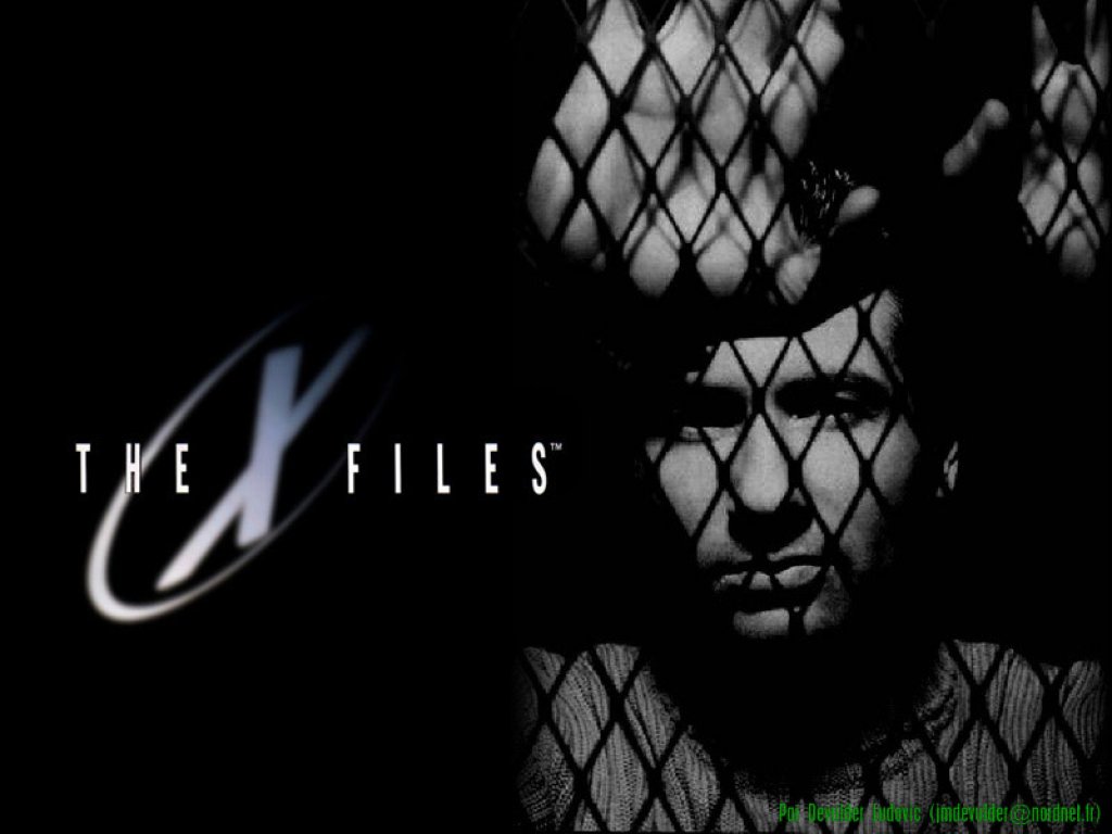 Fonds d'cran Sries TV X-Files : aux Frontires du rel 