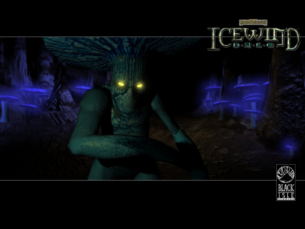 Wallpapers Video Games Icewind Dale 