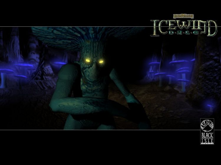 Fonds d'cran Jeux Vido Icewind Dale Wallpaper N32858