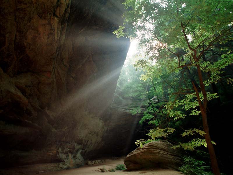 Fonds d'cran Nature Arbres - Forts 