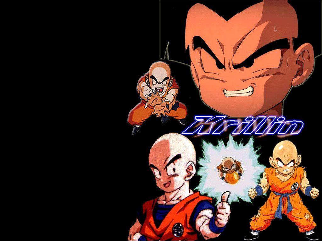 Fonds d'cran Manga Dragon Ball Z 