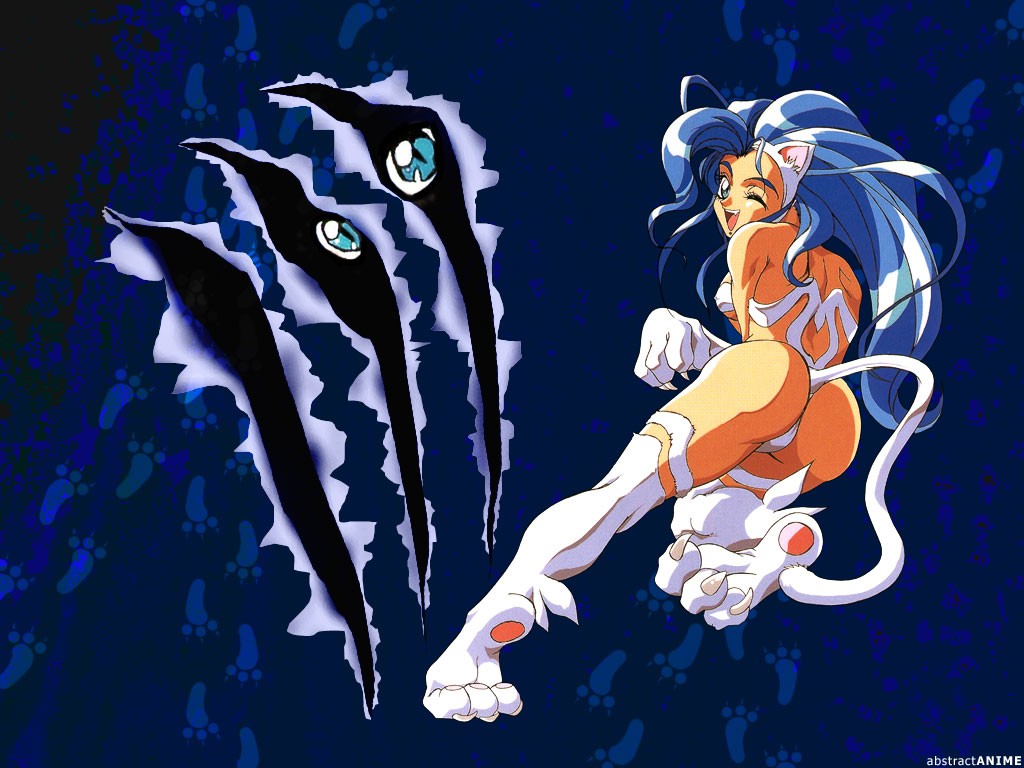 Wallpapers Video Games Darkstalkers 