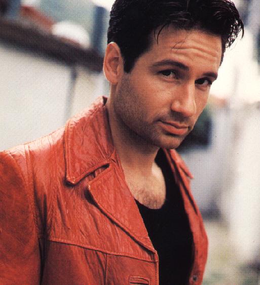 Fonds d'cran Clbrits Homme David Duchovny 