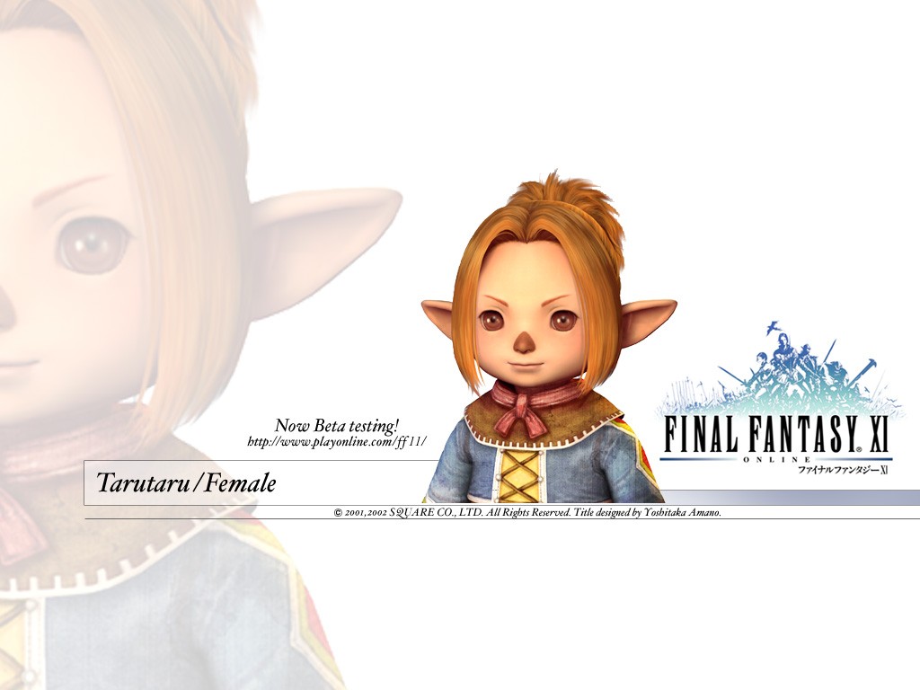 Fonds d'cran Jeux Vido Final Fantasy XI 