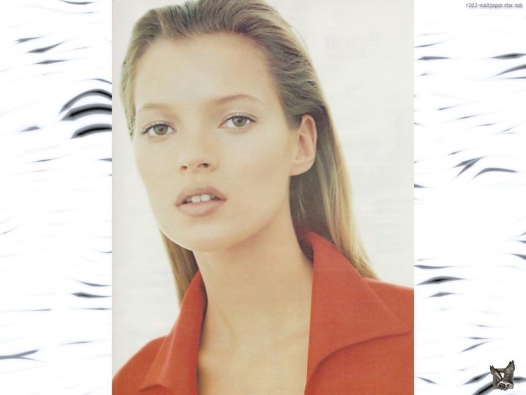 Fonds d'cran Clbrits Femme Kate Moss Wallpaper N56754