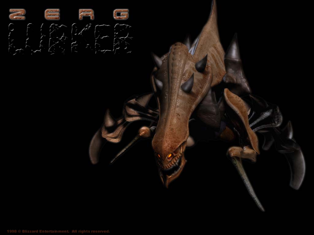 Wallpapers Video Games StarCraft 