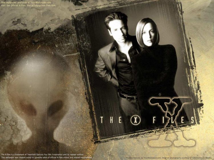 Fonds d'cran Sries TV X-Files : aux Frontires du rel Wallpaper N30601