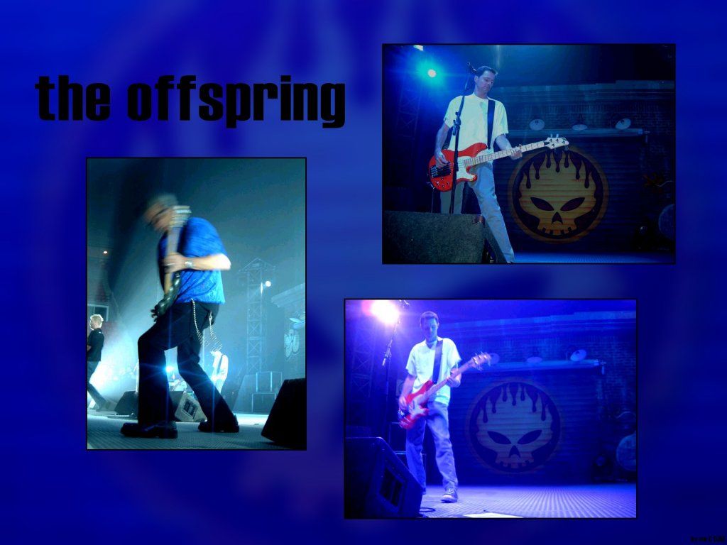 Fonds d'cran Musique The Offspring 