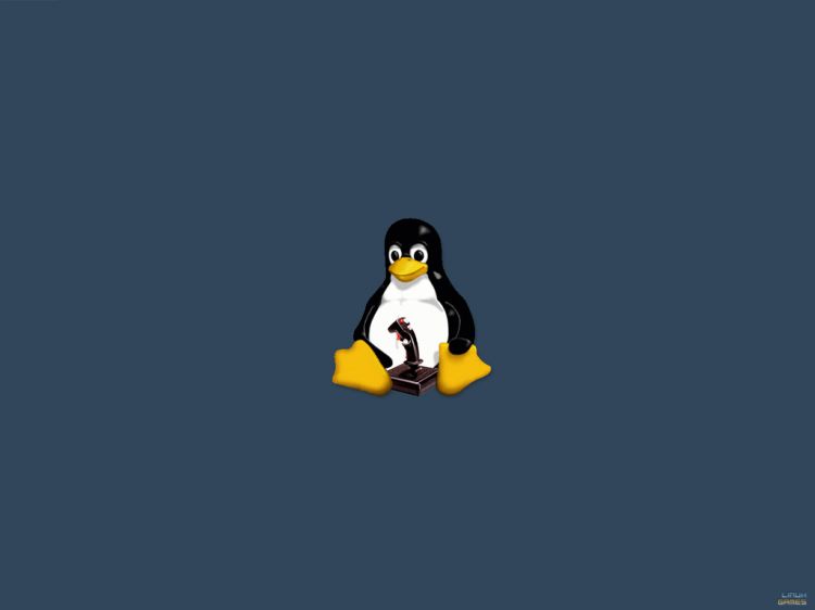 Fonds d'cran Jeux Vido Linux Game Wallpaper N33155