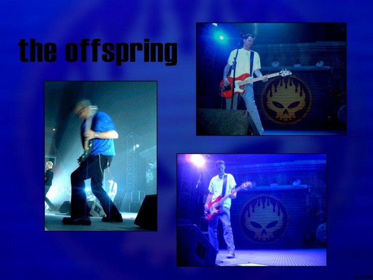 Fonds d'cran Musique The Offspring Wallpaper N53588