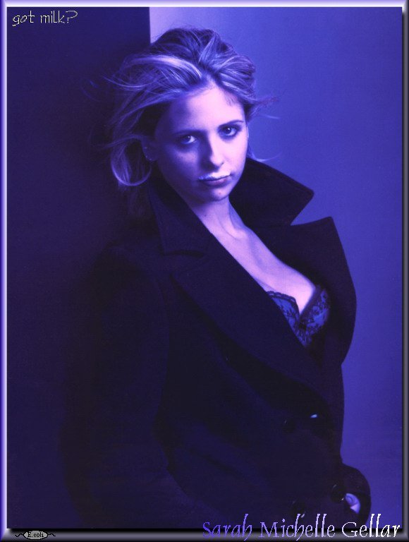 Fonds d'cran Clbrits Femme Sarah Michelle Gellar 