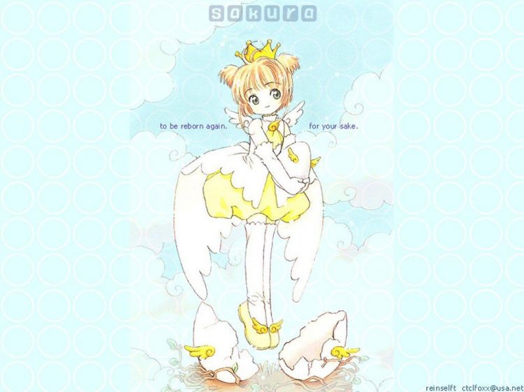 Wallpapers Manga Card Captor Sakura Wallpaper N48623