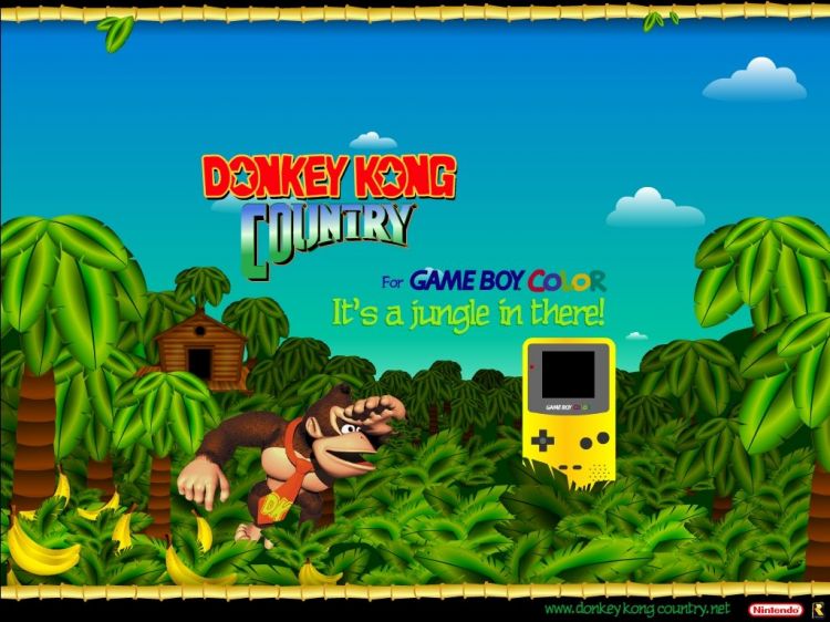 Wallpapers Video Games Donkey Kong Country Wallpaper N36001