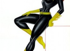 Fonds d'cran Erotic Art Batgirl