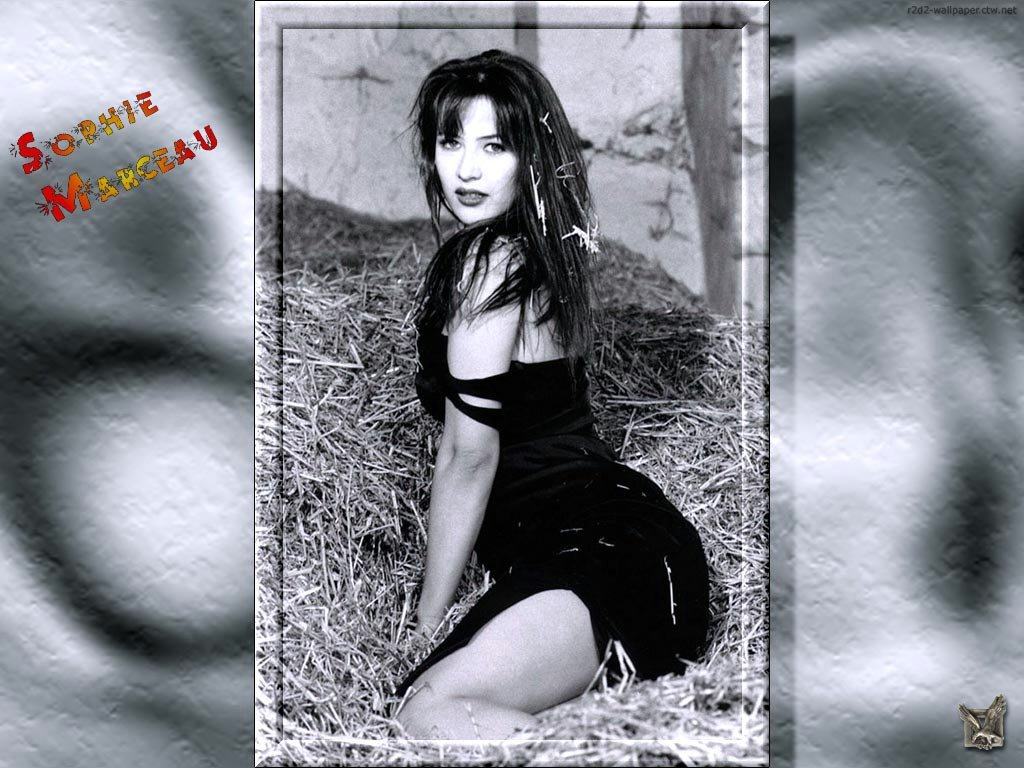 Wallpapers Celebrities Women Sophie Marceau 