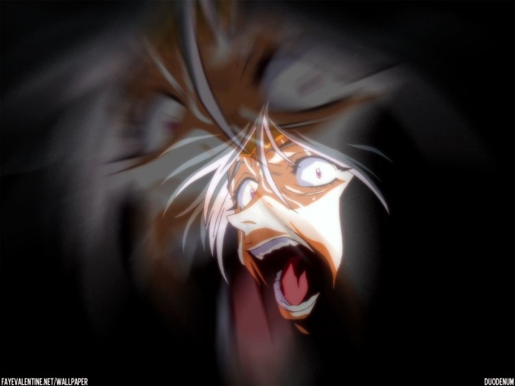 Fonds d'cran Manga Vision d'Escaflowne Wallpaper N50868