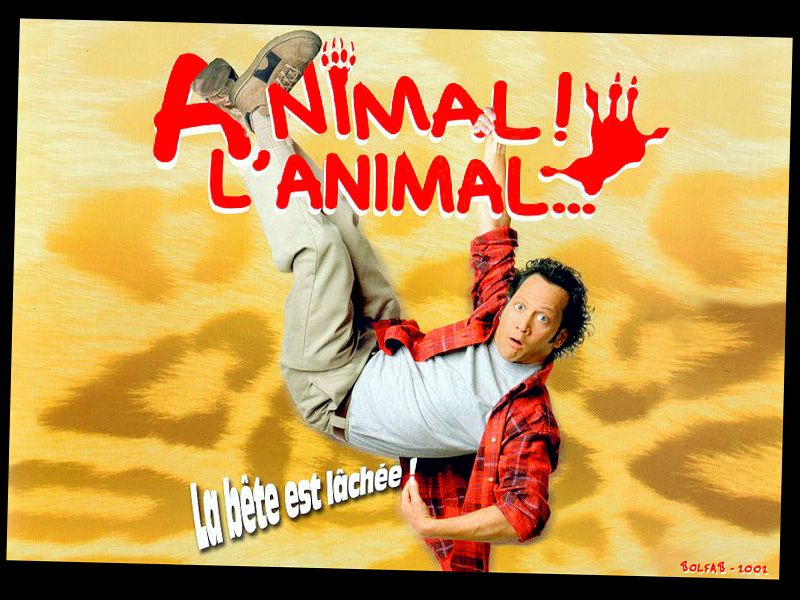 Fonds d'cran Cinma Animal ! l'Animal... 