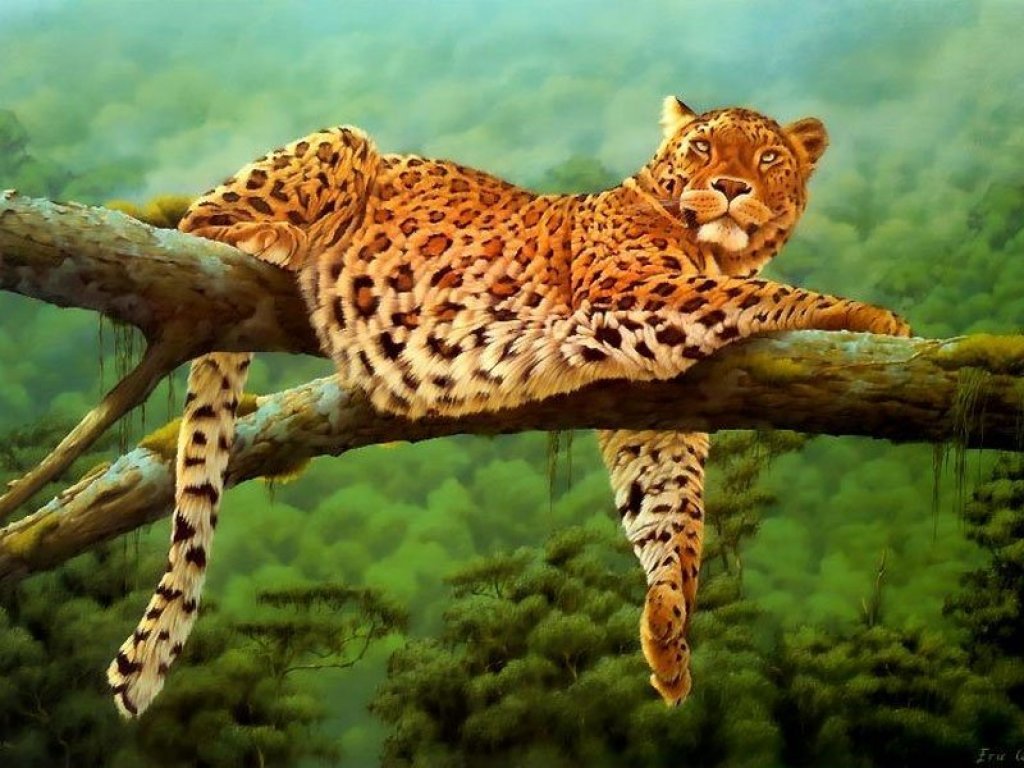 Wallpapers Animals Felines - Leopards 