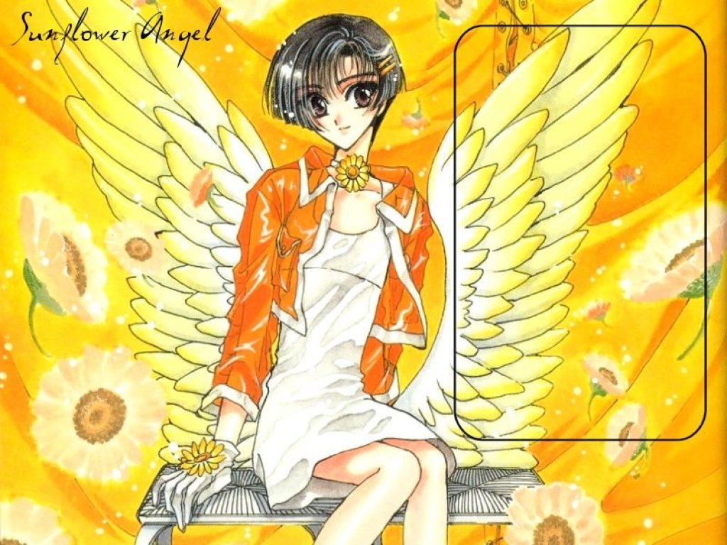 Fonds d'cran Manga X:1999 