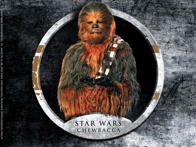 Fonds d'cran Cinma Star Wars - Spcial Personnages Wallpaper N27021