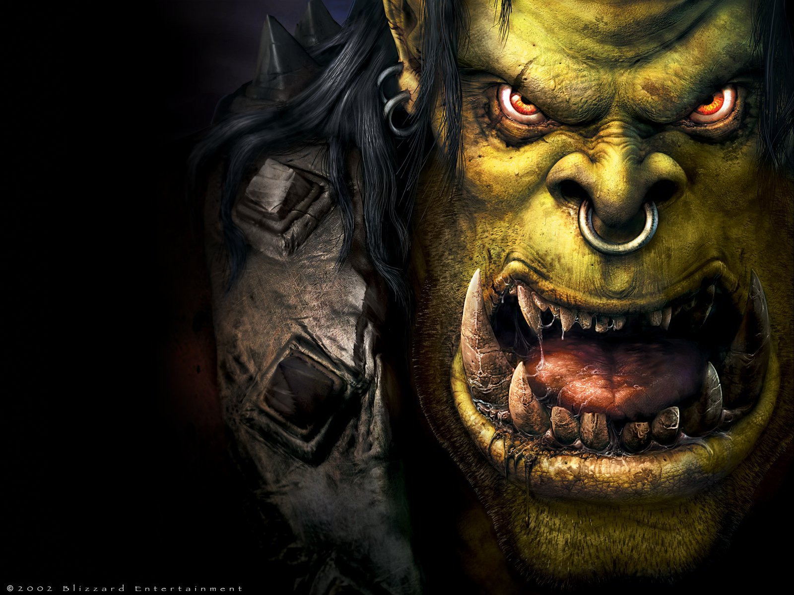 Fonds d'cran Jeux Vido Warcraft 3 