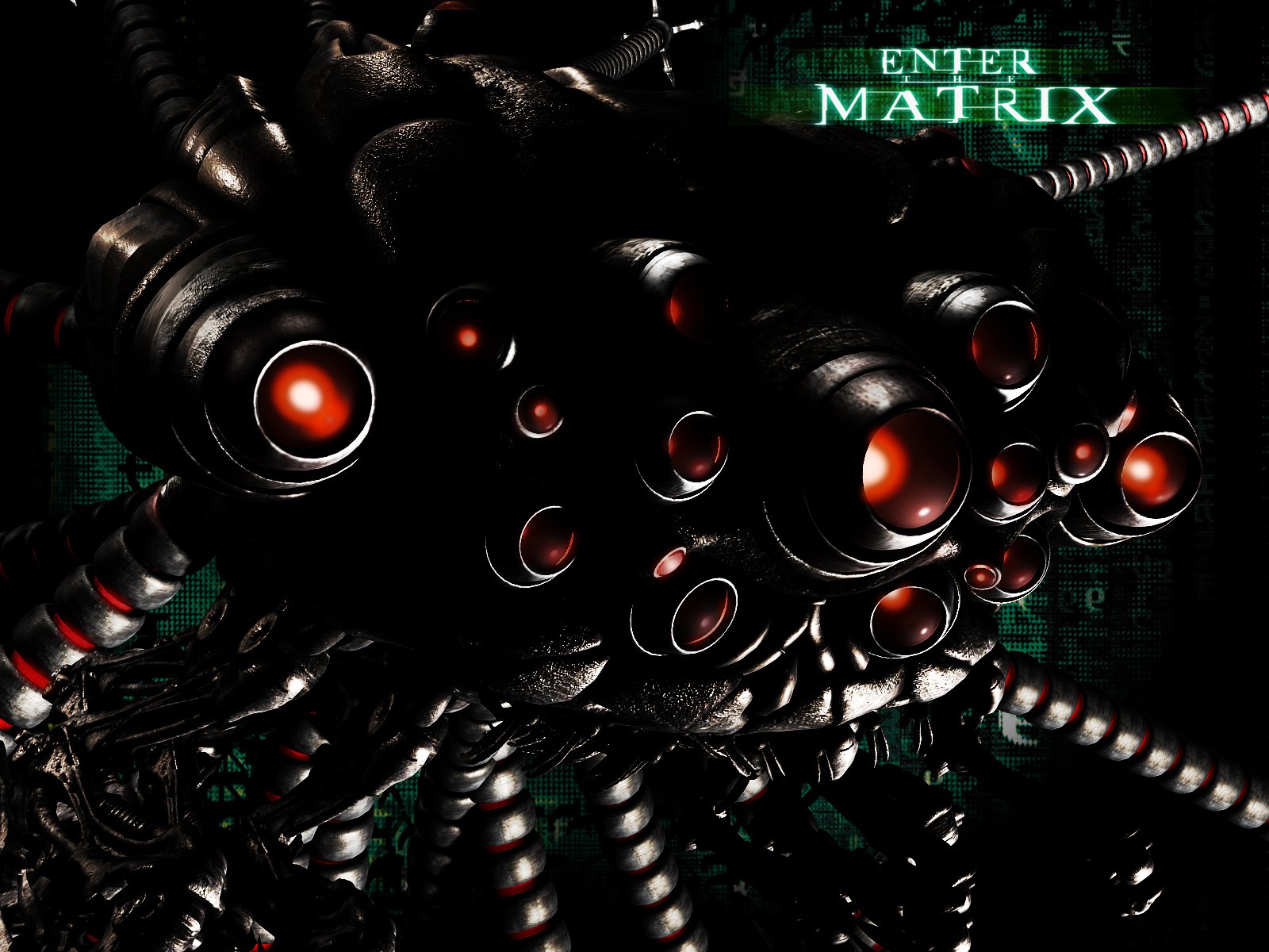 Wallpapers Video Games Enter The Matrix 