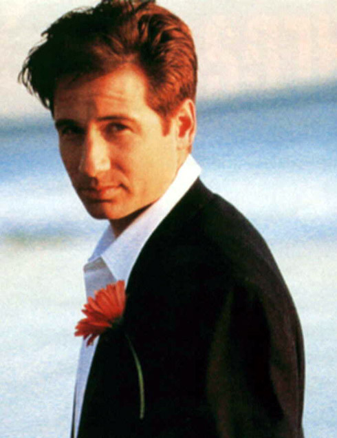 Fonds d'cran Clbrits Homme David Duchovny 