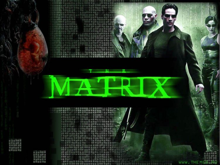 Fonds d'cran Cinma Matrix 1 Wallpaper N26173