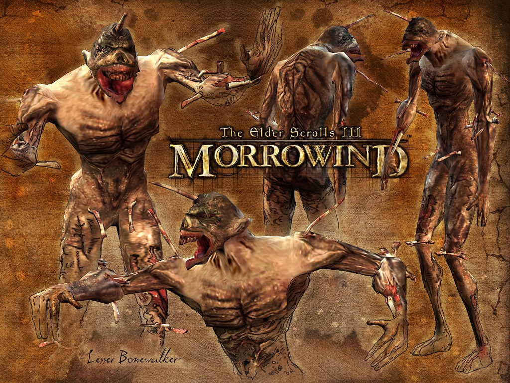 Wallpapers Video Games The Elder Scrolls III : Morrowind 