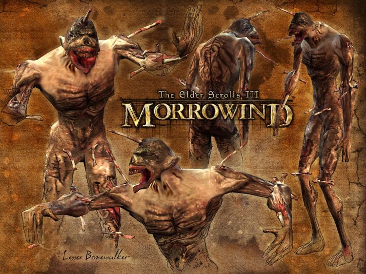 Wallpapers Video Games The Elder Scrolls III : Morrowind Wallpaper N33568