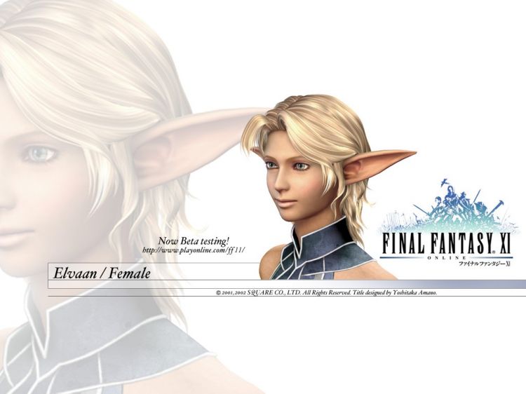 Wallpapers Video Games Final Fantasy XI Wallpaper N32258