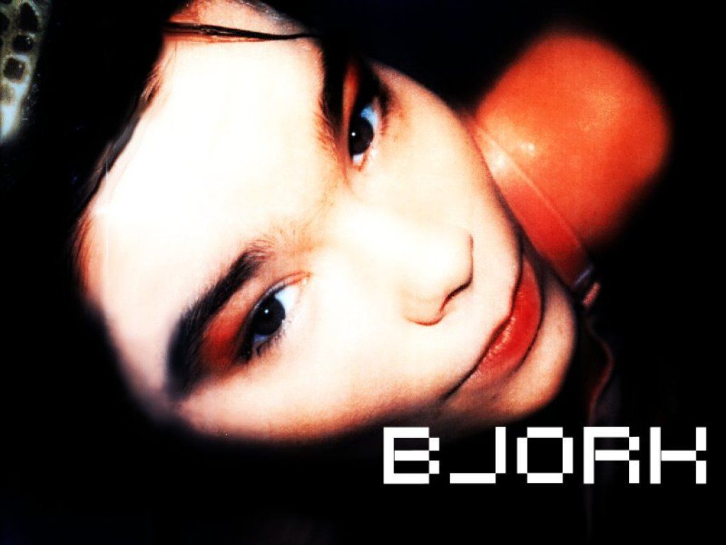 Fonds d'cran Musique Bjrk 