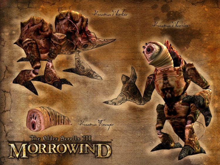 Wallpapers Video Games The Elder Scrolls III : Morrowind Wallpaper N33574