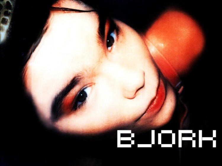 Fonds d'cran Musique Bjrk Wallpaper N53139