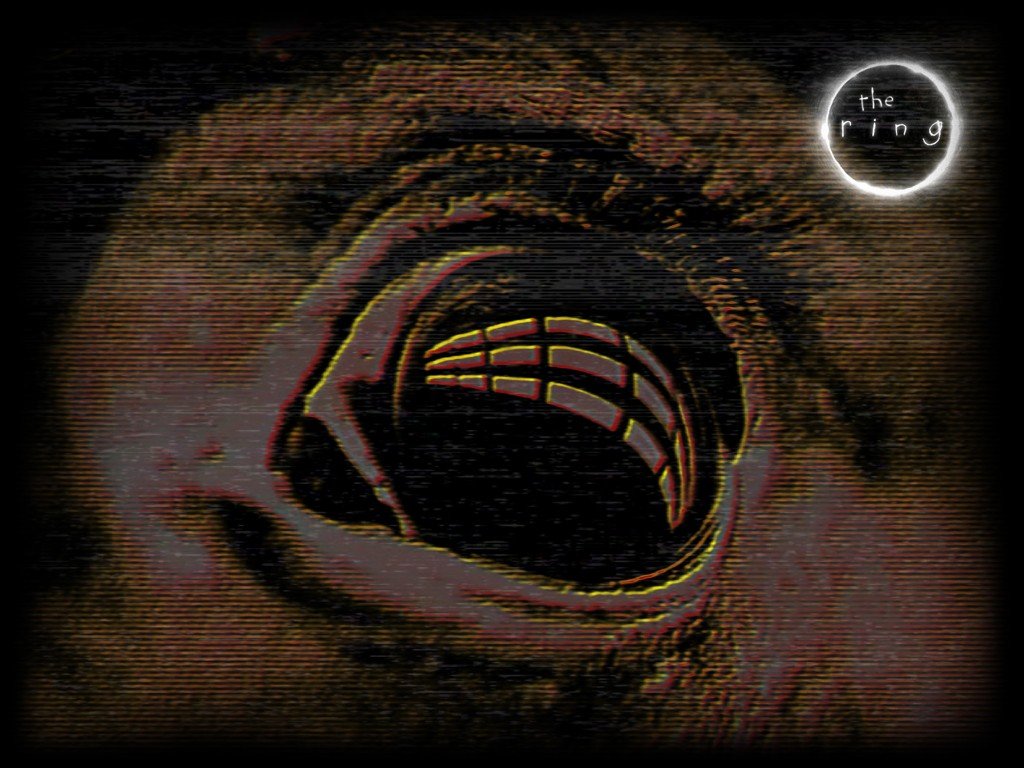 Wallpapers Movies The Ring 