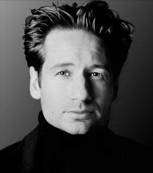 Fonds d'cran Clbrits Homme David Duchovny 