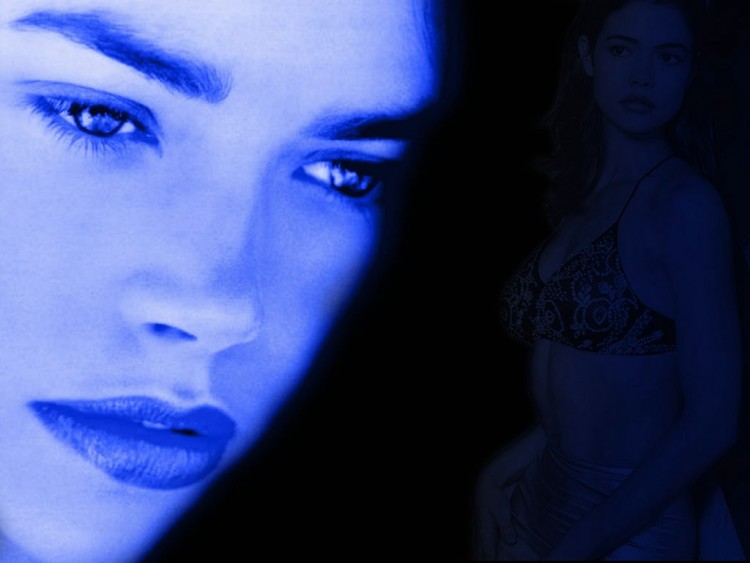 Fonds d'cran Clbrits Femme Denise Richards Wallpaper N55894