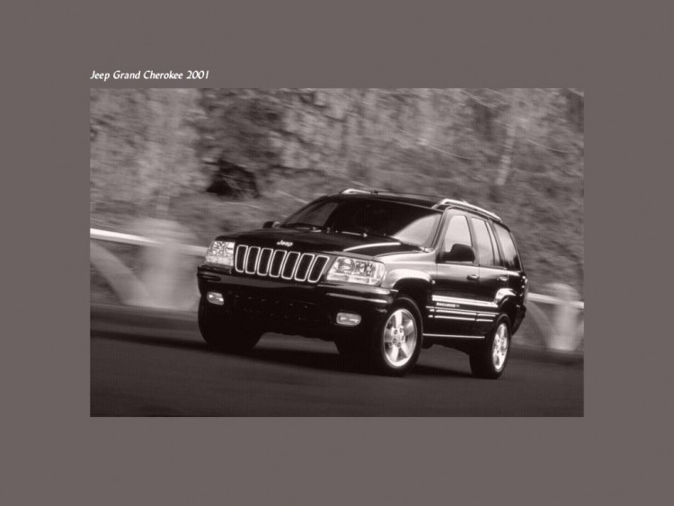 Wallpapers Cars Jeep Wallpaper N52120