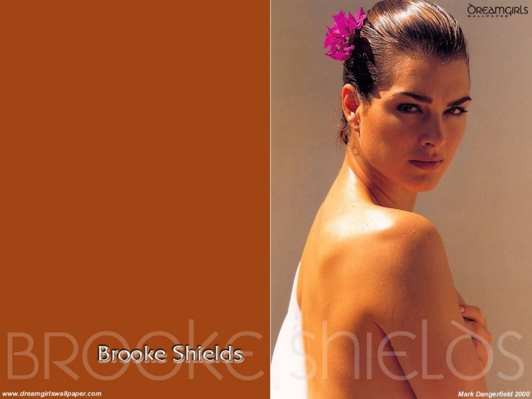 Fonds d'cran Clbrits Femme Brooke Shields Wallpaper N55311