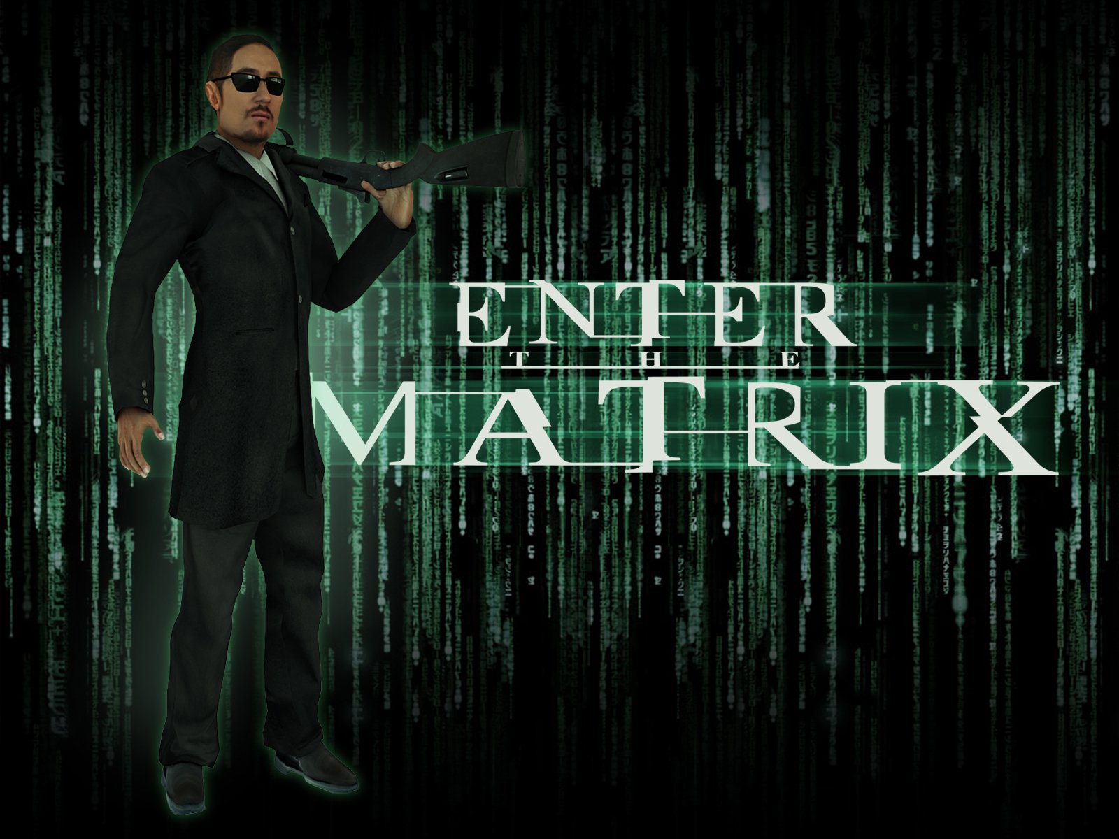 Fonds d'cran Jeux Vido Enter The Matrix 