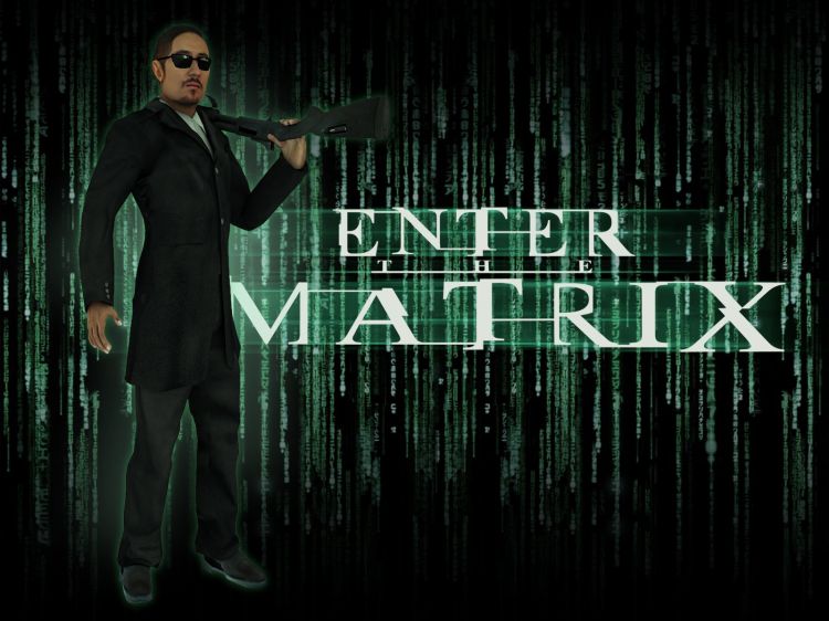 Fonds d'cran Jeux Vido Enter The Matrix Wallpaper N37045