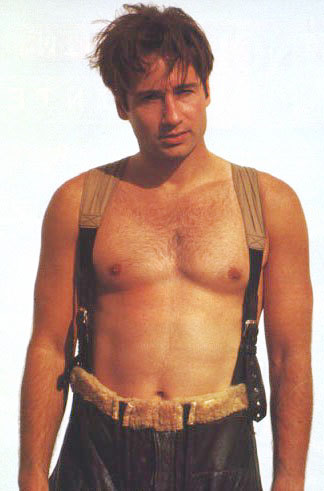 Wallpapers Celebrities Men David Duchovny 