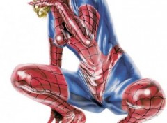 Fonds d'cran Erotic Art Spiderwoman