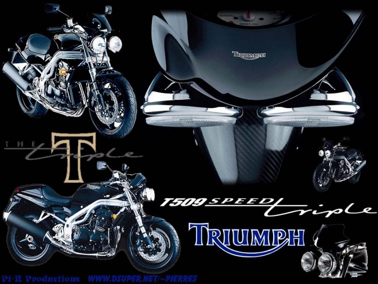 Wallpapers Motorbikes Triumph Wallpaper N53063