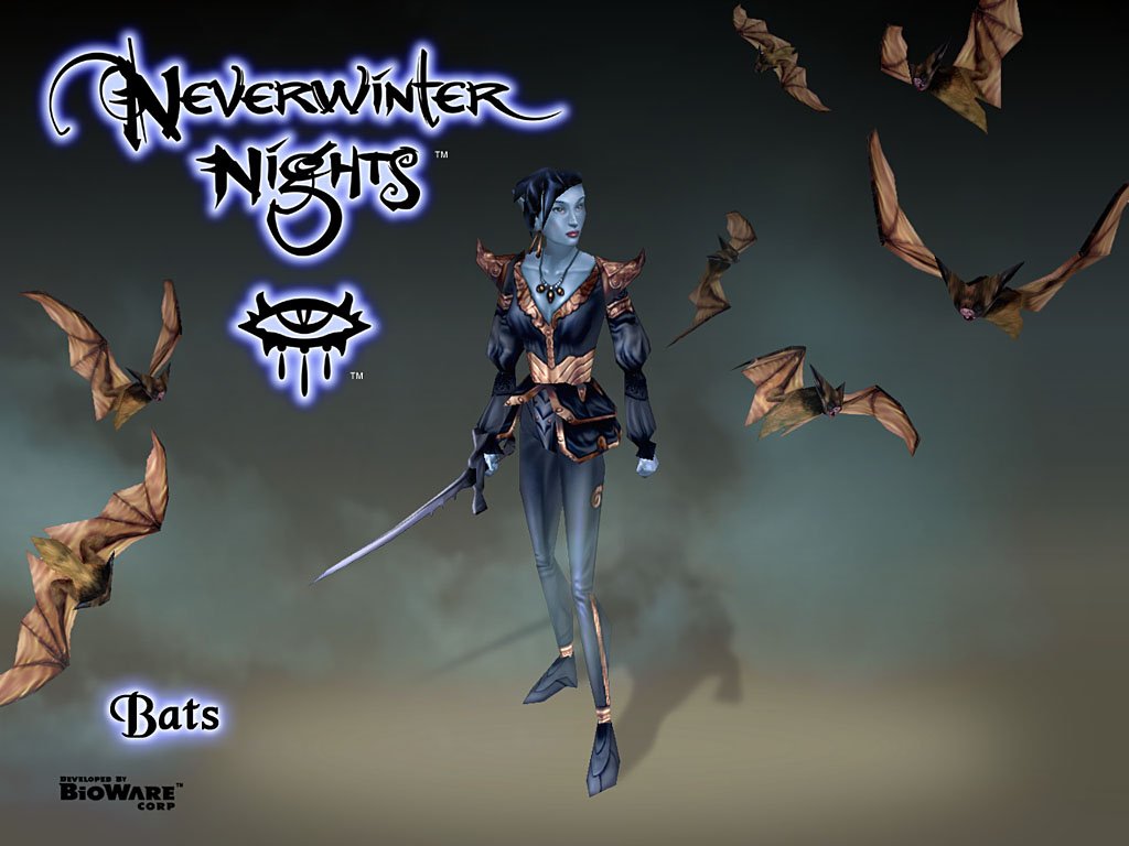 Fonds d'cran Jeux Vido NeverWinter Nights 